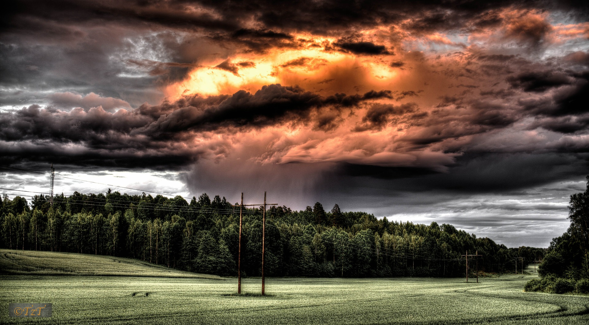 field-601209_1920